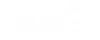 Quobly