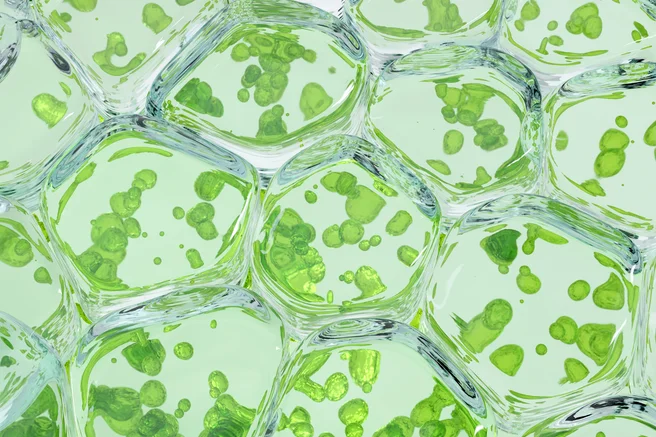 Quobly